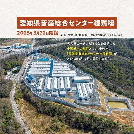 愛知県小牧市のふるさと納税 名古屋コーチンすき焼きセット[003D04]