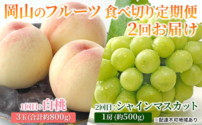 フルーツ 2026年 岡山のフルーツ 食べ