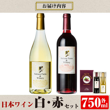 K-073 《セゾン限定》鹿児島県 霧島市産 日本ワイン白・赤2本セット