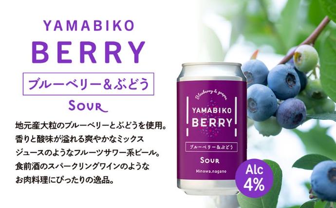 クラフトビール YAMABIKO BEER 3種 計6本 飲み比べ セット 赤そば