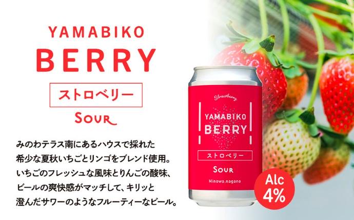 YAMABIKO BERRY ビール　ストロベリー6本セット Sour 4% クラフトビール YAMABIKO BEER 3種 計6本 飲み比べ セット 赤そば
