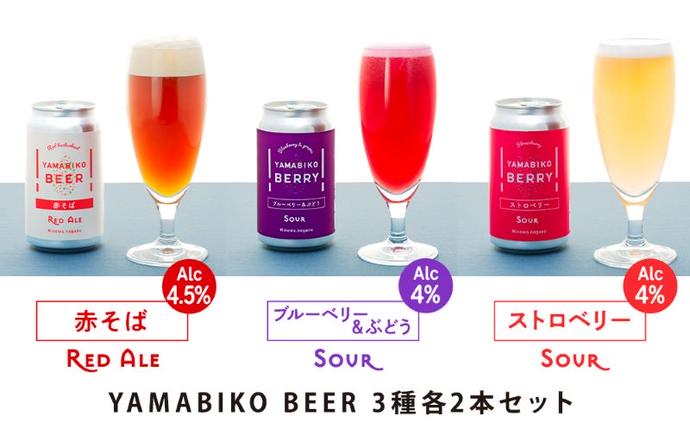 YAMABIKO BERRY ビール　ストロベリー6本セット Sour 4% クラフトビール YAMABIKO BEER 3種 計6本 飲み比べ セット 赤そば