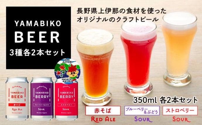 クラフトビール YAMABIKO BEER 3種 計6本 飲み比べ セット 赤そば
