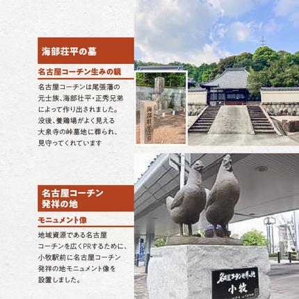 愛知県小牧市のふるさと納税 <訳あり>名古屋コーチン卵のクリームチーズケーキ[020N05]