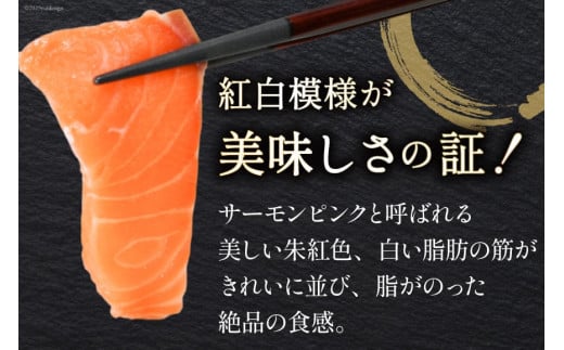 宮城県気仙沼市のふるさと納税 ノルウェー産 アトランティックサーモン 総重量 1kg (正味重量850g) [カネダイ 宮城県 気仙沼市 20565509] 魚 魚介類 サーモン 刺身 生食 生 アトランティック アトラン 小分け 冷凍 鮭 さけ 訳あり ノルウェー