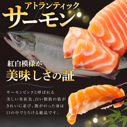 宮城県気仙沼市のふるさと納税 ノルウェー産 アトランティックサーモン 総重量 1kg (正味重量850g) [カネダイ 宮城県 気仙沼市 20565509] 魚 魚介類 サーモン 刺身 生食 生 アトランティック アトラン 小分け 冷凍 鮭 さけ 訳あり ノルウェー