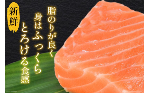 宮城県気仙沼市のふるさと納税 ノルウェー産 アトランティックサーモン 総重量 1kg (正味重量850g) [カネダイ 宮城県 気仙沼市 20565509] 魚 魚介類 サーモン 刺身 生食 生 アトランティック アトラン 小分け 冷凍 鮭 さけ 訳あり ノルウェー