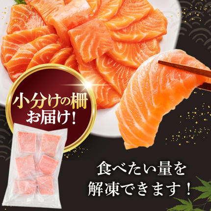 宮城県気仙沼市のふるさと納税 ノルウェー産 アトランティックサーモン 総重量 1kg (正味重量850g) [カネダイ 宮城県 気仙沼市 20565509] 魚 魚介類 サーモン 刺身 生食 生 アトランティック アトラン 小分け 冷凍 鮭 さけ 訳あり ノルウェー