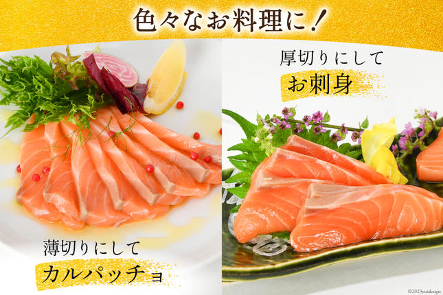 宮城県気仙沼市のふるさと納税 ノルウェー産 アトランティックサーモン 総重量 1kg (正味重量850g) [カネダイ 宮城県 気仙沼市 20565509] 魚 魚介類 サーモン 刺身 生食 生 アトランティック アトラン 小分け 冷凍 鮭 さけ 訳あり ノルウェー