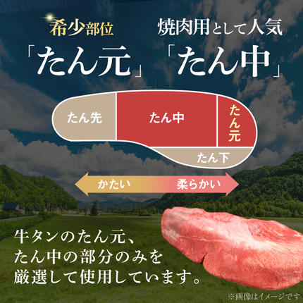 宮城県気仙沼市のふるさと納税 大人気！ 牛タン 厚切り牛タン 塩味 500g [モ～ランド 宮城県 気仙沼市 20564659] 肉 牛肉 精肉 牛たん 牛タン塩 牛たん塩 冷凍 焼肉 BBQ アウトドア バーベキュー 厚切り タン