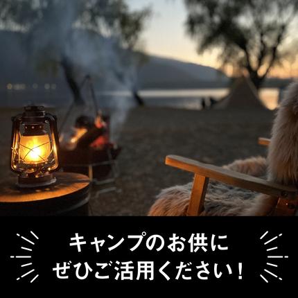 愛知県小牧市のふるさと納税 キャンプ、BBQ用鉄板『究極のグリルプレート』 [093S04]