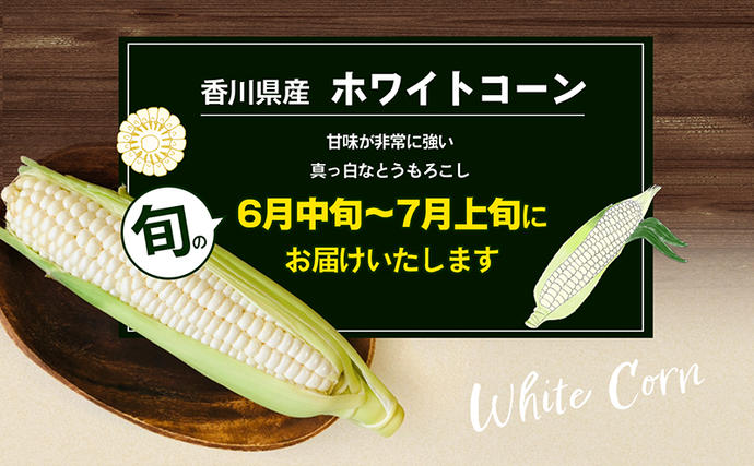 香川県東かがわ市のふるさと納税 ホワイトコーン 約2.5kg 野菜 とうもろこし 野菜セット