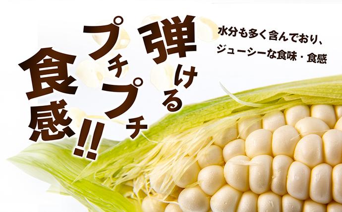香川県東かがわ市のふるさと納税 ホワイトコーン 約2.5kg 野菜 とうもろこし 野菜セット