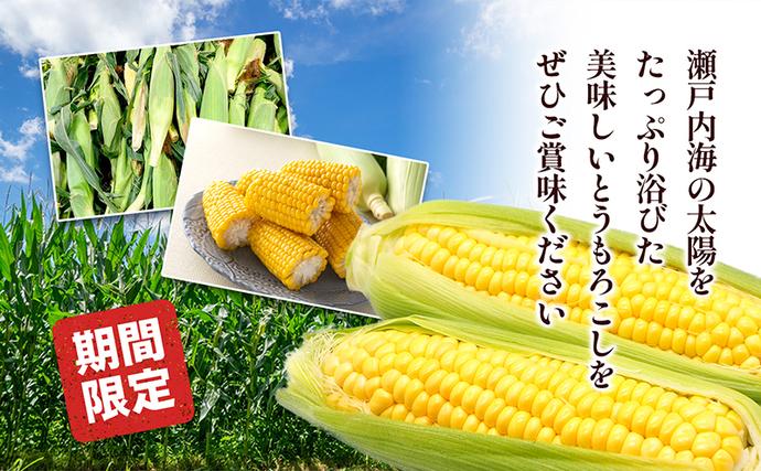 香川県東かがわ市のふるさと納税 イエローコーン 約3kg 野菜 とうもろこし 野菜セット