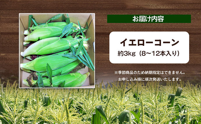 香川県東かがわ市のふるさと納税 イエローコーン 約3kg 野菜 とうもろこし 野菜セット