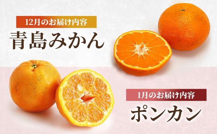 熊本県錦町のふるさと納税 定期便 2回 先行予約 【 桃 白桃 7月頃 梨 9月頃 】白鳳 特製桃源郷錦 約1kg、清流錦梨 約5kg もも モモ なし フルーツ 果物 デザート お楽しみ 2026年発送 配送不可:離島