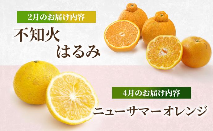 熊本県錦町のふるさと納税 定期便 2回 先行予約 【 桃 白桃 7月頃 梨 9月頃 】白鳳 特製桃源郷錦 約1kg、清流錦梨 約5kg もも モモ なし フルーツ 果物 デザート お楽しみ 2026年発送 配送不可:離島