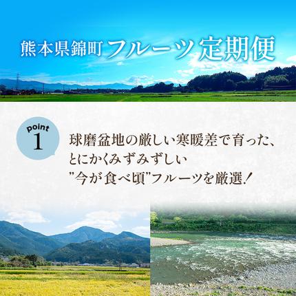熊本県錦町のふるさと納税 定期便 2回 先行予約 【 桃 白桃 7月頃 梨 9月頃 】白鳳 特製桃源郷錦 約1kg、清流錦梨 約5kg もも モモ なし フルーツ 果物 デザート お楽しみ 2026年発送 配送不可:離島