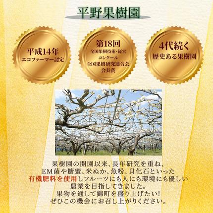 熊本県錦町のふるさと納税 定期便 2回 先行予約 【 桃 白桃 7月頃 梨 9月頃 】白鳳 特製桃源郷錦 約1kg、清流錦梨 約5kg もも モモ なし フルーツ 果物 デザート お楽しみ 2026年発送 配送不可:離島