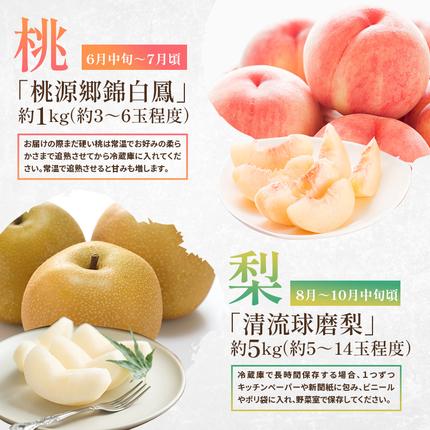 熊本県錦町のふるさと納税 定期便 2回 先行予約 【 桃 白桃 6～7月頃 梨 8～10月頃 】白鳳 特製桃源郷錦 約1kg、清流錦梨 約5kg もも モモ なし フルーツ 果物 デザート お楽しみ 2026年発送 配送不可:離島