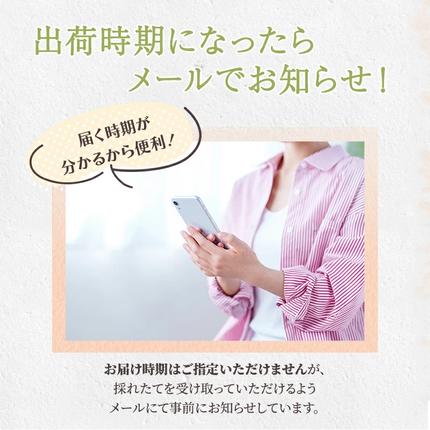 熊本県錦町のふるさと納税 定期便 2回 先行予約 【 桃 白桃 6～7月頃 梨 8～10月頃 】白鳳 特製桃源郷錦 約1kg、清流錦梨 約5kg もも モモ なし フルーツ 果物 デザート お楽しみ 2026年発送 配送不可:離島