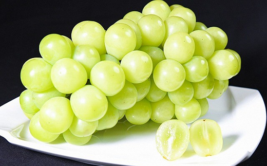 山形県南陽市のふるさと納税 【令和8年産先行予約】 シャインマスカット 約1.2kg (1～3房 秀) 《令和8年9月下旬～11月中旬発送》 『フードシステムズ』 マスカット 葡萄 ぶどう 果物 山形県 南陽市 [902]