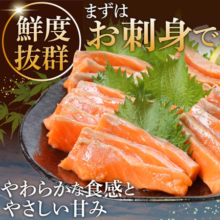宮城県気仙沼市のふるさと納税 訳あり サーモン 切り落とし おさしみ用 1kg 125gx8p [足利本店 宮城県 気仙沼市 20564313] 魚 魚介類 鮭 お刺し身 刺し身 刺身 生 生食 個包装 チリ銀鮭 銀鮭 海鮮 海鮮丼 魚介