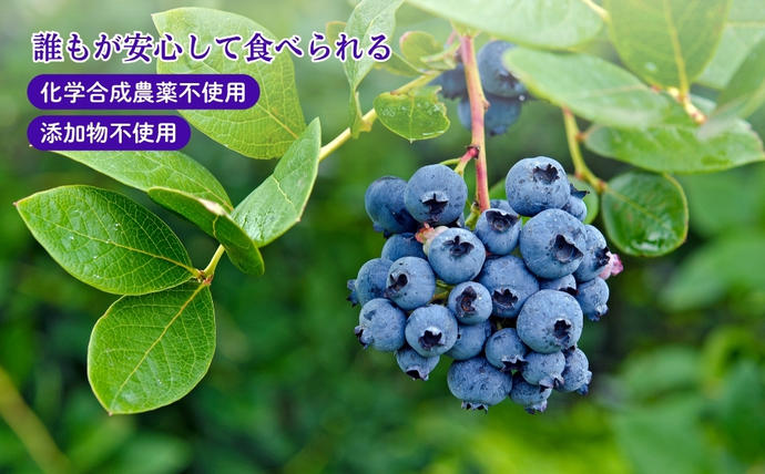 ブルーベリー詰め合わせセット / 奈良県宇陀市 | セゾンのふるさと納税