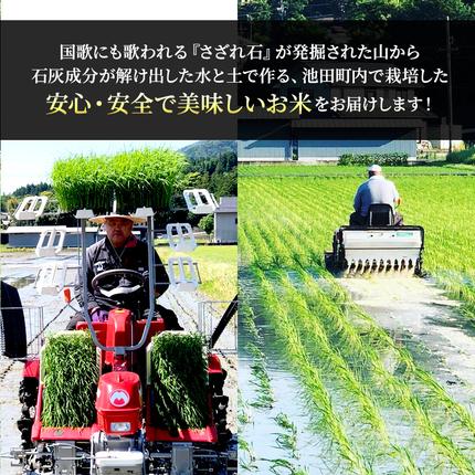 岐阜県池田町のふるさと納税 米 6kg (各2kg) ハツシモ コシヒカリ ミルキークイーン 池田町産 8分づき 分つき精米 お米 おこめ こめ コメ ごはん ご飯 有機肥料 減農薬栽培 はつしも こしひかり ミルキークィーン 岐阜県