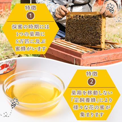 鹿児島県日置市のふるさと納税 No.1074 日置市産 はちみつ(500g×2本・計1kg) 国産 九州産 鹿児島県産 はちみつ ハチミツ 蜂蜜 山蜜 調味料 セット ギフト 贈答 プレゼント【神之門養蜂】