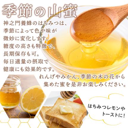 鹿児島県日置市のふるさと納税 No.1074 日置市産 はちみつ(500g×2本・計1kg) 国産 九州産 鹿児島県産 はちみつ ハチミツ 蜂蜜 山蜜 調味料 セット ギフト 贈答 プレゼント【神之門養蜂】