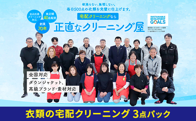 静岡県浜松市のふるさと納税 【1年間有効】衣類の宅配クリーニング　3点パック【配送不可：北海道・沖縄・離島】 サービス 保管無料 抗菌クリーニング 衣替え 洋服 アウター 冬物 クリーニングサービス 浜松市