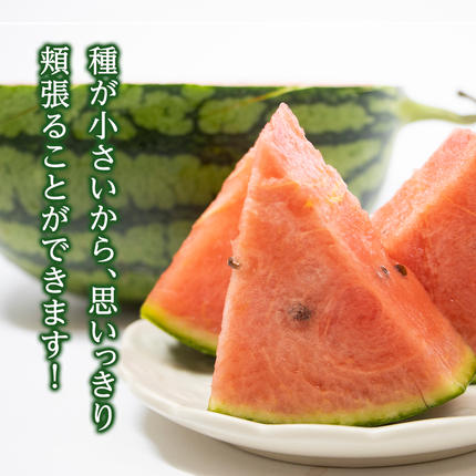 茨城県八千代町のふるさと納税 【 先行予約 2026年7月下旬以降発送 】 小玉 スイカ ピノ・ガール 5玉 優以上 NONAKA HIROSHI FARM すいか 西瓜 数量限定 甘い 夏 果物 旬 [AX030ya]