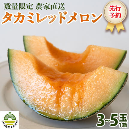 ◎タカミレッド+タカミ❪一番果❫約5キロ程度(箱込み)農家直送即購入大歓迎　赤肉 令和8年産 】【 先行予約 】 タカミレッドメロン 秀品 1箱 3玉～5玉