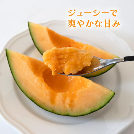 令和8年産 】【 先行予約 】 タカミレッドメロン 秀品 1箱 3玉～5玉