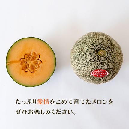 ◎タカミレッド+タカミ❪一番果❫約5キロ程度(箱込み)農家直送即購入大歓迎　赤肉 令和8年産 】【 先行予約 】 タカミレッドメロン 秀品 1箱 3玉～5玉