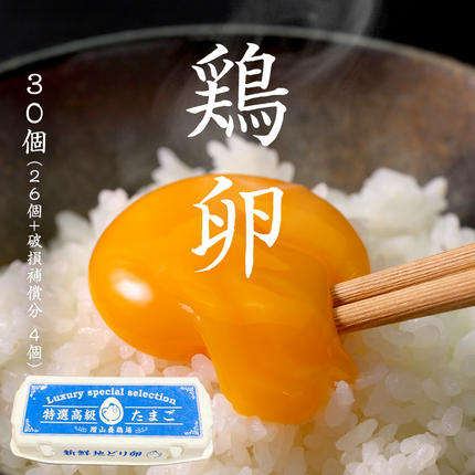 鶏卵 30個 ( 26個 + 破損補償分 4個 ) 卵 たまご 玉子 ふるさと納税