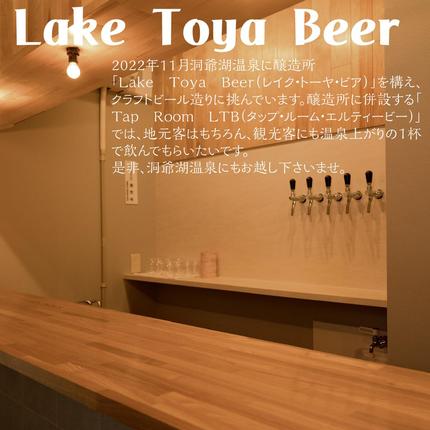北海道洞爺湖町のふるさと納税 Lake Toya Beer クラフトビール 定番3種6本セット(紙コースター2枚付) お酒 アルコール飲料 晩酌 家飲み 宅飲み 柑橘系 飲みやすい 南ドイツスタイル 苦みが少ない フルーティ ほのかな酸味
