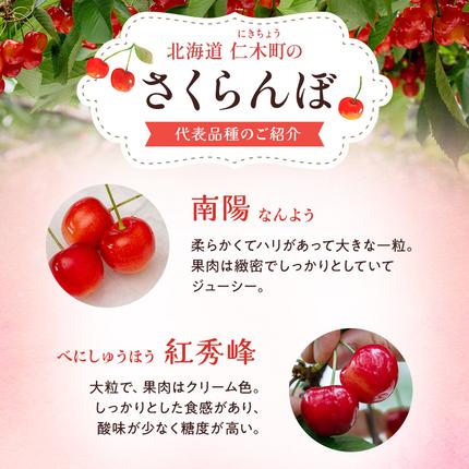 北海道仁木町のふるさと納税 先行受付 北海道 仁木町産 ジャンボサイズ さくらんぼ 【 紅秀峰 】2Lサイズ以上 300g×2パック 計600g 　サクランボ チェリー フルーツ 果物 果物類  仁木町 仁木 [嶋田茂農園匠]