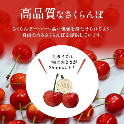 北海道仁木町のふるさと納税 先行受付 北海道 仁木町産 ジャンボサイズ さくらんぼ 【 紅秀峰 】2Lサイズ以上 300g×2パック 計600g 　サクランボ チェリー フルーツ 果物 果物類  仁木町 仁木 [嶋田茂農園匠]