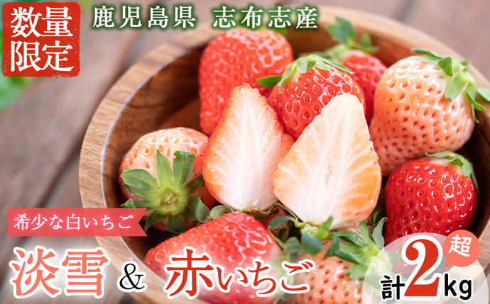 鹿児島県志布志市のふるさと納税 鹿児島県産いちご！志布志発祥白いちご「淡雪」4Pと季節おまかせ赤いちご4Pセット(計2kg・約270g×8P) c0-015