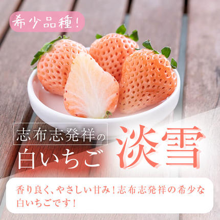 鹿児島県志布志市のふるさと納税 鹿児島県産いちご！志布志発祥白いちご「淡雪」4Pと季節おまかせ赤いちご4Pセット(計2kg・約270g×8P) c0-015