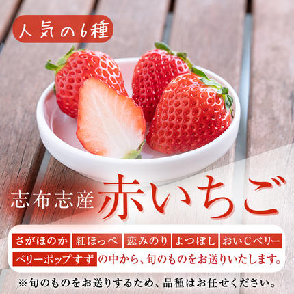 鹿児島県志布志市のふるさと納税 鹿児島県産いちご！志布志発祥白いちご「淡雪」4Pと季節おまかせ赤いちご4Pセット(計2kg・約270g×8P) c0-015