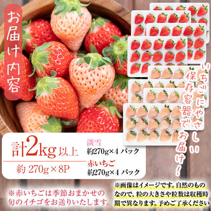 鹿児島県志布志市のふるさと納税 鹿児島県産いちご！志布志発祥白いちご「淡雪」4Pと季節おまかせ赤いちご4Pセット(計2kg・約270g×8P) c0-015