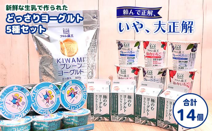 フロム蔵王　どっさりヨーグルト5種セット【