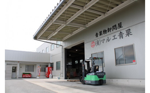 山形県南陽市のふるさと納税 【令和8年産先行予約】 《定期便3回》 果樹王国山形 南陽のフルーツ定期便B 『マルエ青果』 果物 くだもの フルーツ 山形県 南陽市 [1494-R8]