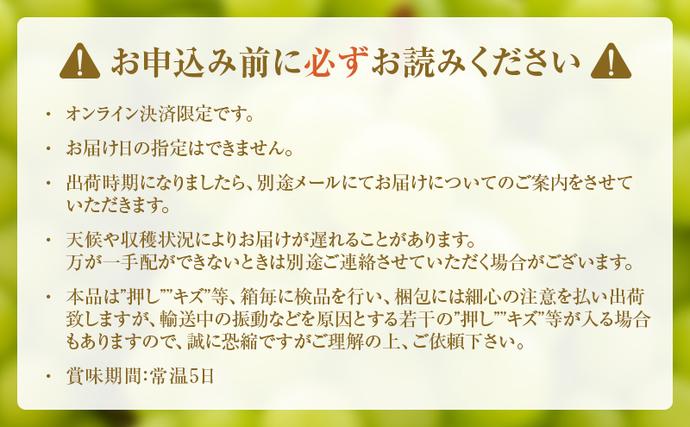岡山県高梁市のふるさと納税 瀬戸ジャイアンツ 約2kg 3～5房 ぶどう 葡萄 フルーツ 岡山 高梁市産 2026年 先行予約 果物類 果物