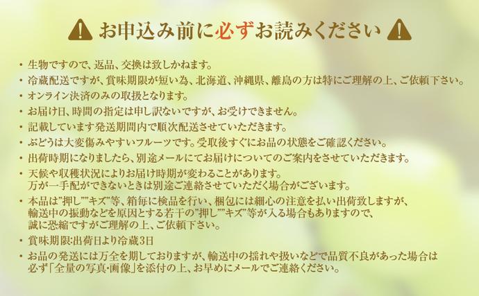 岡山県高梁市のふるさと納税 2025年 先行予約 瀬戸ジャイアンツ 2房 合計約1kg 冷蔵配送 ぶどう 葡萄 フルーツ 果物 岡山 岡山のぶどう 食後 デザート 産地直送 皮ごと 酸味が少ない 爽やか 甘い