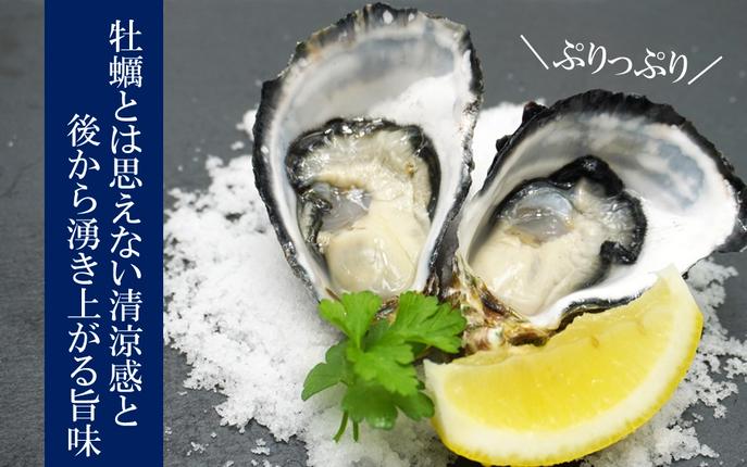 大分県国東市のふるさと納税 牡蠣 生食用 殻付き くにさきオイスター 大きいサイズ8個（殻付き重量110～200g/個） カキ oyster 生牡蠣_2360R