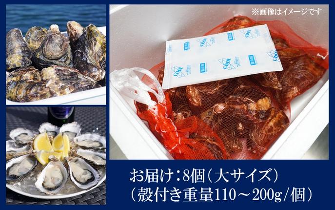 大分県国東市のふるさと納税 牡蠣 生食用 殻付き くにさきオイスター 大きいサイズ8個（殻付き重量110～200g/個） カキ oyster 生牡蠣_2360R